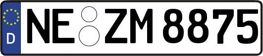 NE-ZM8875