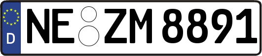 NE-ZM8891
