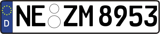 NE-ZM8953