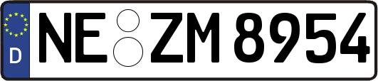 NE-ZM8954