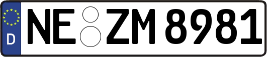 NE-ZM8981