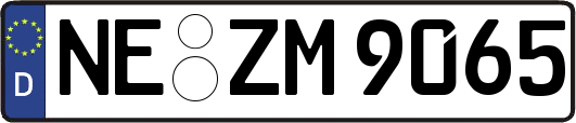 NE-ZM9065