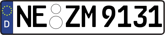 NE-ZM9131