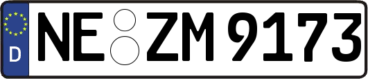 NE-ZM9173
