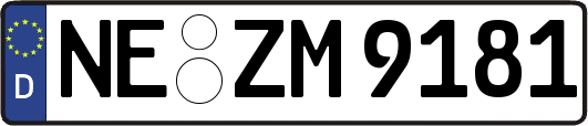 NE-ZM9181