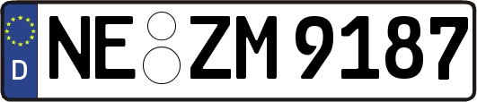 NE-ZM9187