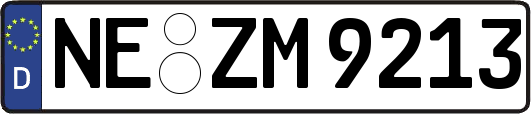 NE-ZM9213