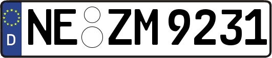 NE-ZM9231