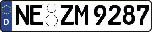 NE-ZM9287
