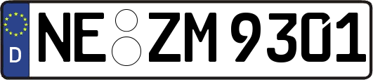 NE-ZM9301