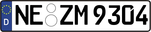 NE-ZM9304