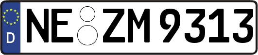 NE-ZM9313