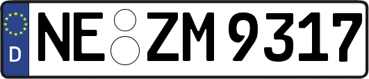 NE-ZM9317