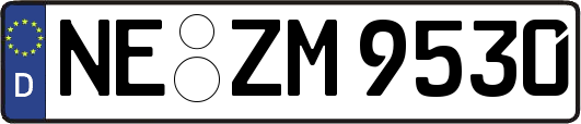 NE-ZM9530
