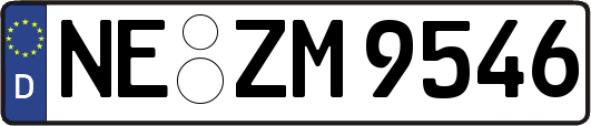 NE-ZM9546