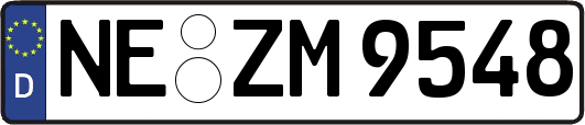 NE-ZM9548