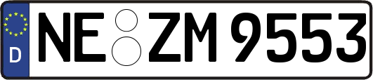 NE-ZM9553