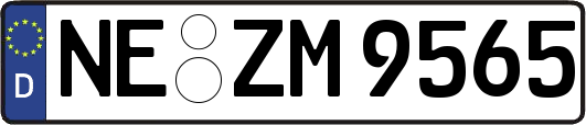 NE-ZM9565