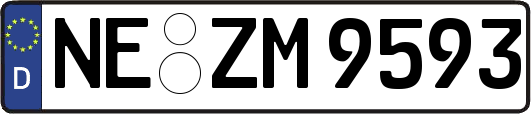 NE-ZM9593