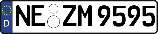 NE-ZM9595