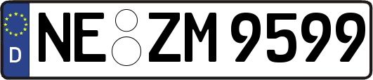 NE-ZM9599