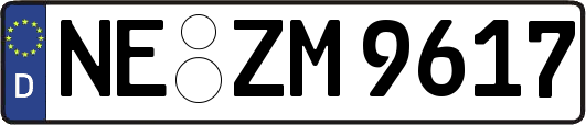 NE-ZM9617