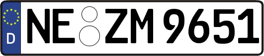 NE-ZM9651