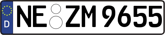 NE-ZM9655