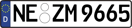 NE-ZM9665