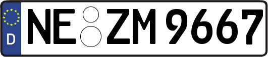 NE-ZM9667