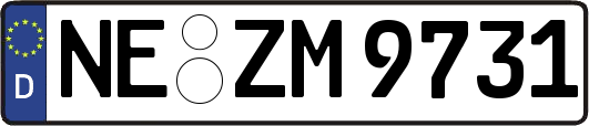 NE-ZM9731