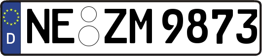 NE-ZM9873