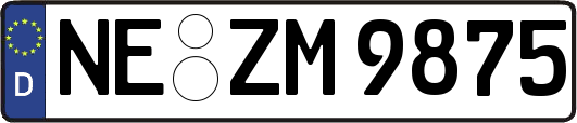 NE-ZM9875