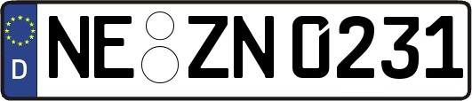 NE-ZN0231