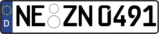 NE-ZN0491