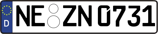 NE-ZN0731