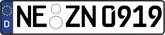 NE-ZN0919