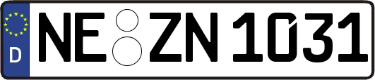 NE-ZN1031