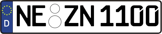 NE-ZN1100