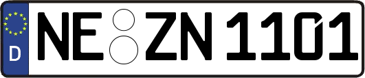 NE-ZN1101