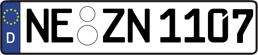 NE-ZN1107
