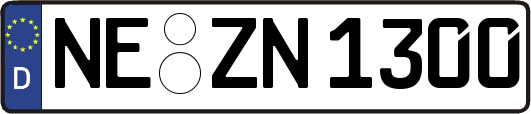 NE-ZN1300