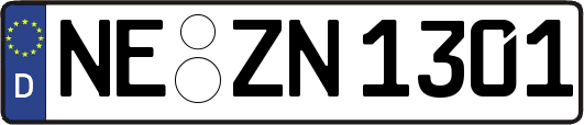 NE-ZN1301