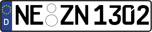 NE-ZN1302