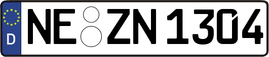 NE-ZN1304