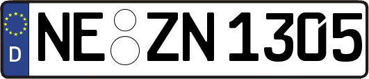 NE-ZN1305