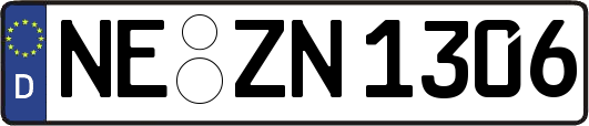 NE-ZN1306