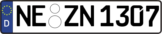 NE-ZN1307