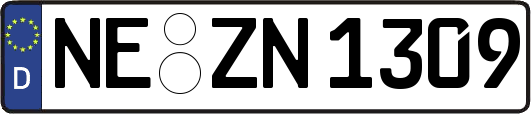 NE-ZN1309