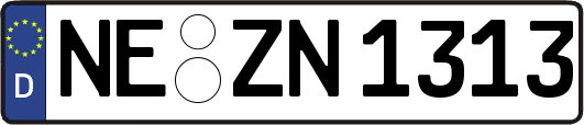 NE-ZN1313